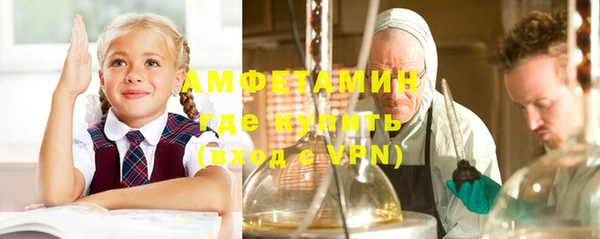 дурь Бронницы