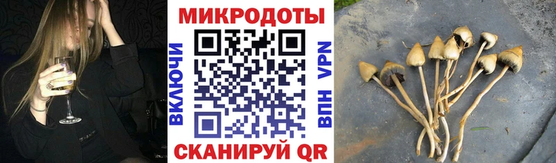 Псилоцибиновые грибы Psilocybe  Барнаул 